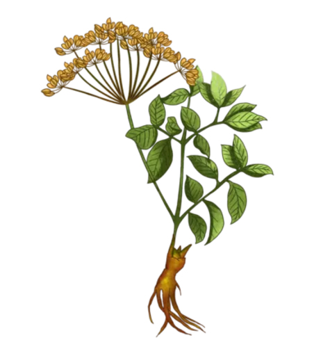 未标题-1.jpg 未标题-1.jpg