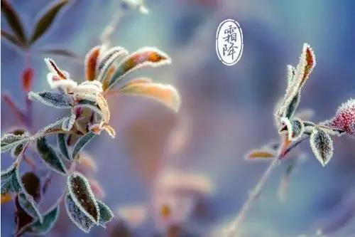 微信图片_20211029113900.jpg 微信图片_20211029113900.jpg