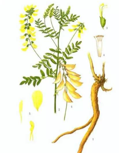 微信图片_20211130092715.jpg 微信图片_20211130092715.jpg