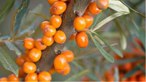 微信图片_20220304130739.jpg 微信图片_20220304130739.jpg