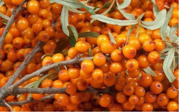 微信图片_20220304130744.jpg 微信图片_20220304130744.jpg