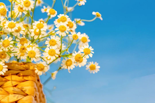 微信图片_20220321093930.jpg 微信图片_20220321093930.jpg