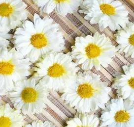 微信图片_20220321093938.jpg 微信图片_20220321093938.jpg