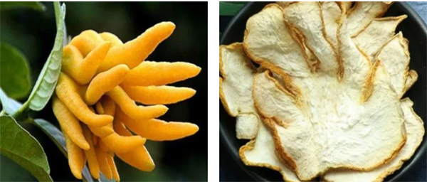 未标题-1.jpg 未标题-1.jpg