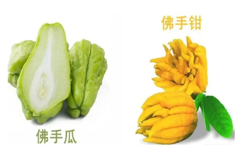 未标题-2.jpg 未标题-2.jpg