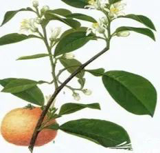 微信图片_20220507092847.jpg 微信图片_20220507092847.jpg