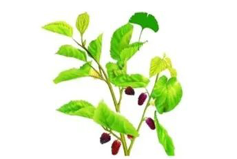 微信图片_20220516090953.jpg 微信图片_20220516090953.jpg