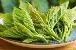 微信图片_20220516090956.jpg 微信图片_20220516090956.jpg