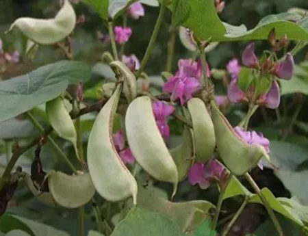 微信图片_20220523093432.jpg 微信图片_20220523093432.jpg