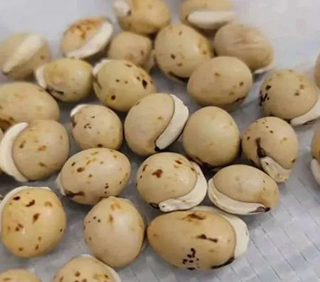 微信图片_20220523093442.jpg 微信图片_20220523093442.jpg