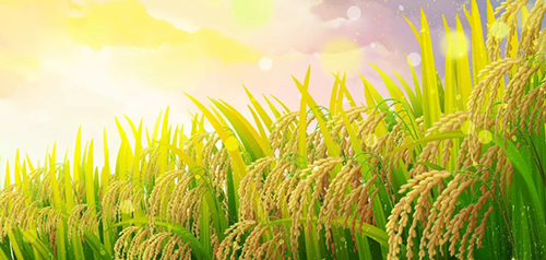 微信图片_20220523093504.jpg 微信图片_20220523093504.jpg