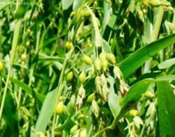 微信图片_20220613090423.jpg 微信图片_20220613090423.jpg