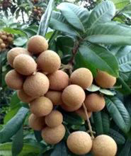 微信图片_20220627101824.jpg 微信图片_20220627101824.jpg