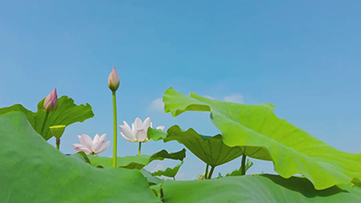 微信图片_20220725095111.jpg 微信图片_20220725095111.jpg