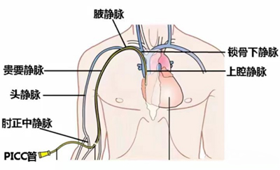 640 (4).jpg 640 (4).jpg