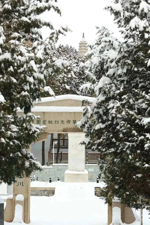 微信图片_20240708092321.jpg 微信图片_20240708092321.jpg